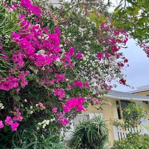 Meet your Posher, Juliette